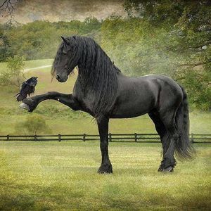 Meet your Posher, Kimora